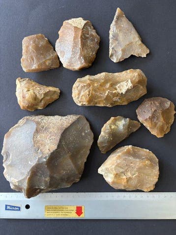 Vroeg en Midden-palaeolithisch: Neanderthal Vuursteen, Antiek en Kunst