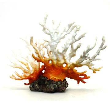 Koraal bruin en wit, kunstkoraal OS-143 - aquarium decoratie, Dieren en Toebehoren, Ophalen of Verzenden, Nieuw
