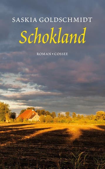 Schokland - Saskia Goldschmidt 9789059368040, Verzenden, Gelezen, Saskia Goldschmidt