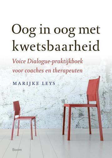 Oog In Oog Met Kwetsbaarheid | Marijke Leys | Nieuw, Ophalen of Verzenden, Nieuw, Marijke Leys