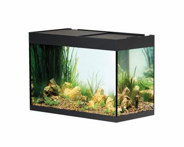 Oase StyleLine 175 Zwart - Aquarium, Dieren en Toebehoren, Ophalen of Verzenden, Nieuw