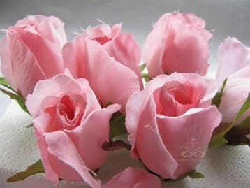 Zijden Roosjes Hot Pink Roze 5-6 cm 10 stuks, Ophalen of Verzenden, Nieuw