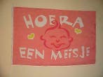 Geboorte vlag Hoera het is een meisje 150x100cm Nieuw!, Verzenden, Nieuw