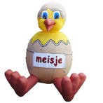 Kuiken uit Ei, Ophalen, Zo goed als nieuw, Feestartikel, Geboorte of Huwelijk