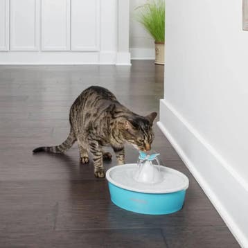 PetSafe Vlinder Drinkfontein 1,5ltr, Verzenden, Nieuw