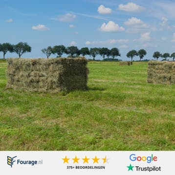 1e kwaliteit weide hooibalen aangeboden! | Paardenvoer, Dieren en Toebehoren, Ophalen, Vee