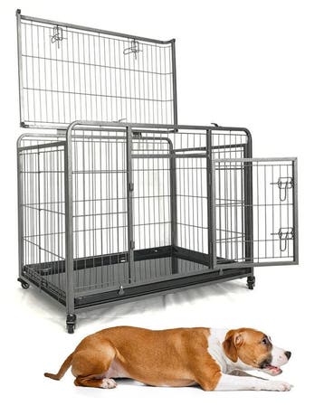 Super Robuuste Bench Heavy duty bench, Ophalen of Verzenden, Nieuw