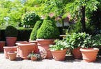 Exclusieve Terracotta potten | Diverse maten en kleuren, Overige materialen, Balkon, Nieuw, Ophalen of Verzenden