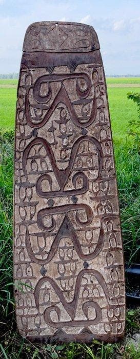 Prachtige oude schild-hoofdjagers uit West-Papoea – Asmat -