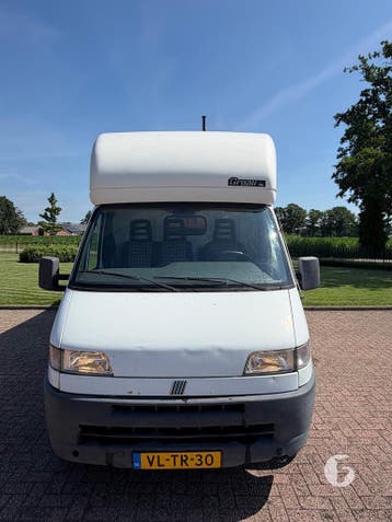 Leuke Fiat 2-paards paardenwagen!, Dieren en Toebehoren, Paarden en Pony's | Trailers en Aanhangwagens, Ophalen, Zo goed als nieuw