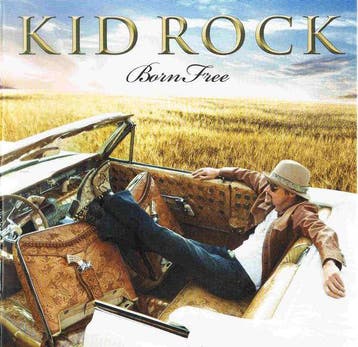 cd - Kid Rock - Born Free, Verzenden, Zo goed als nieuw