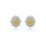 Oorstekers - 14 karaat Witgoud, Geel goud - 3.63ct. tw. Geel