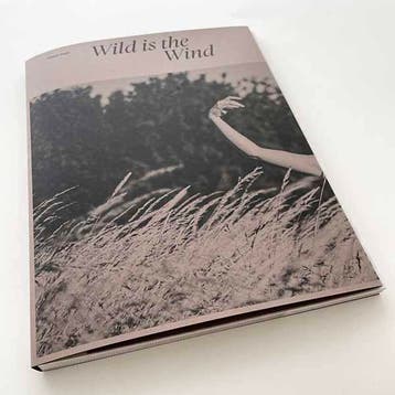Wild Is The Wind | Simon Duijs; Dennis Gaens | Nieuw, Ophalen of Verzenden, Nieuw, Simon Duijs; Dennis Gaens