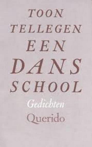 DANSSCHOOL - Toon Tellegen 9789021483900, Verzenden, Gelezen, Toon Tellegen