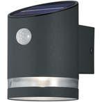 LED Tuinverlichting - Buitenlamp - Trion Salty - Wand - 3W -, Nieuw, Ophalen of Verzenden, Rvs, Hanglamp