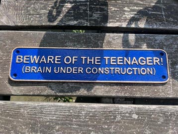Decoratief ornament - beware of the teenager - Europa