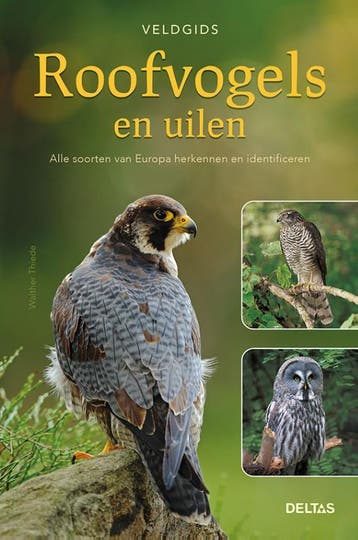 Roofvogels en uilen / Veldgids - Walther Thiede, Verzenden, Zo goed als nieuw, Walther Thiede