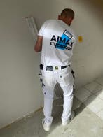 Aimax Stucadoor – Stucwerk vanaf €15 per m², Garantie, Stucwerk