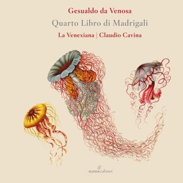 cd - la venexiana - Quarto Libro Di Madrigali (nieuw), Verzenden, Zo goed als nieuw
