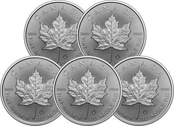 5 Troy Ounce - Zilver .999 - Maple Leaf 2026 - 155,5 gram -