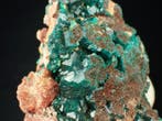 Geen RP! Dioptase Kristallen op matrix - Hoogte: 68 mm -