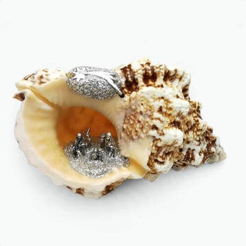 Kerststal - Schelp - Italiaans ambacht
