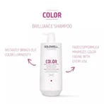 Goldwell Dualsenses Color Brilliance Shampoo, Verzenden, Nieuw