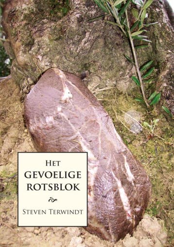 Het gevoelige rotsblok - S. Terwindt 9789048404094, Verzenden, Zo goed als nieuw, S. Terwindt