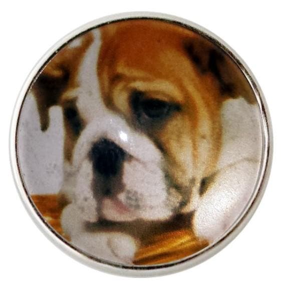 Fako Bijoux - Click Button - Glas - Hond Bruin/Wit, Sieraden, Tassen en Uiterlijk, Armbanden, Verzenden