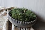 Groene wilde Asparagus krans 20 cm, Huis en Inrichting, Woonaccessoires | Kransen, Ophalen of Verzenden, Nieuw