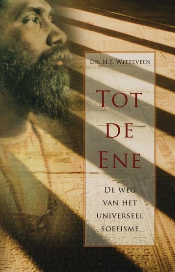 Tot de Ene - H.J. Witteveen 9789020284577, Boeken, Verzenden, Gelezen, H.J. Witteveen