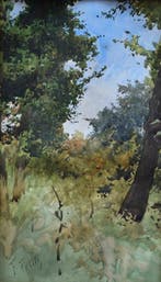 Filiberto Petiti (1845-1924) - Mountain forest