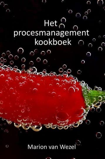 9789463420082 Het procesmanagement kookboek | Tweedehands, Boeken, Verzenden, Zo goed als nieuw, Marion van Wezel