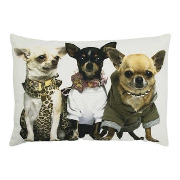 canvas kussen chihuahuas 35x50cm, Verzenden, Nieuw