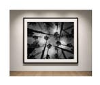 Ben Dauchez - An after noon at Majorelle B&W #2