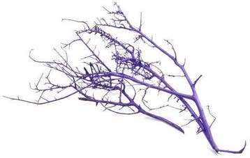 Milka bush White 10 stuks, Ophalen of Verzenden, Nieuw