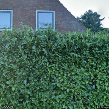 Kamer te huur in Rhenen - 15 m² - 1 kamer(s), Overige regio's