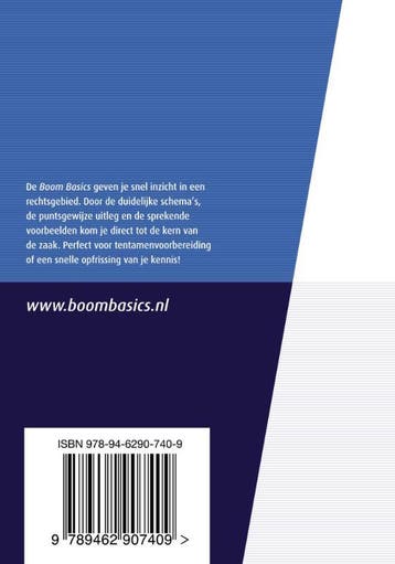 Staatsrecht / Boom Basics 9789462907409 Aalt Willem Heringa, Boeken, Verzenden, Zo goed als nieuw, Aalt Willem Heringa