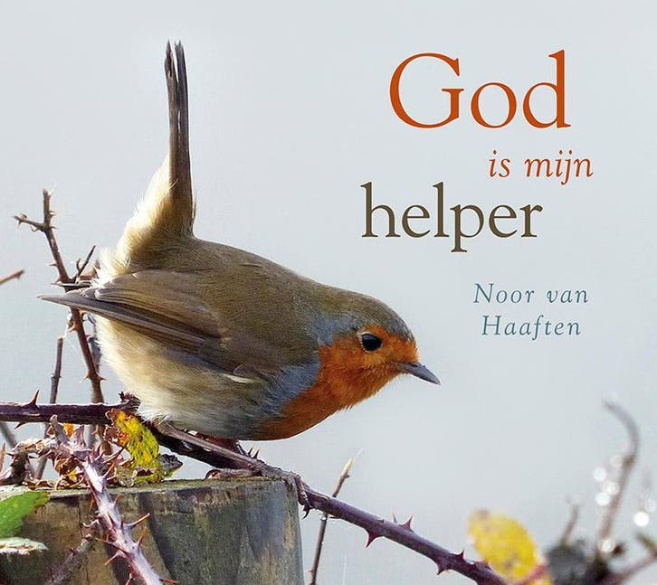 God is mijn helper 9789029724623 Noor van Haaften, Boeken, Godsdienst en Theologie, Zo goed als nieuw, Verzenden