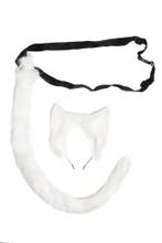 Haarband Furry Oren Staart Set Wit Kat Poes Vos Diadeem Dons, Kleding | Dames, Ophalen of Verzenden, Nieuw, Carnaval, Accessoires