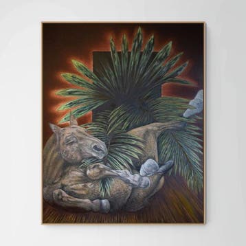 Marco Ercoli - Il sonno della palma - XL
