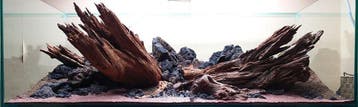 kienhout driftwood voor uw aquarium (Opheffings prijzen)!!, Dieren en Toebehoren, Vissen | Aquaria en Toebehoren, Nieuw, Plant(en), Steen of Hout