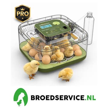Actie! Broedmachine met digitale vochtregeling + BROEDEIEREN, Dieren en Toebehoren, Verzenden, Nieuw, Broedmachine