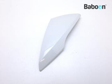 Spiegelkap Links BMW R 1200 RT 2005-2009 (R1200RT 05), Motoren, Verzenden, Gebruikt