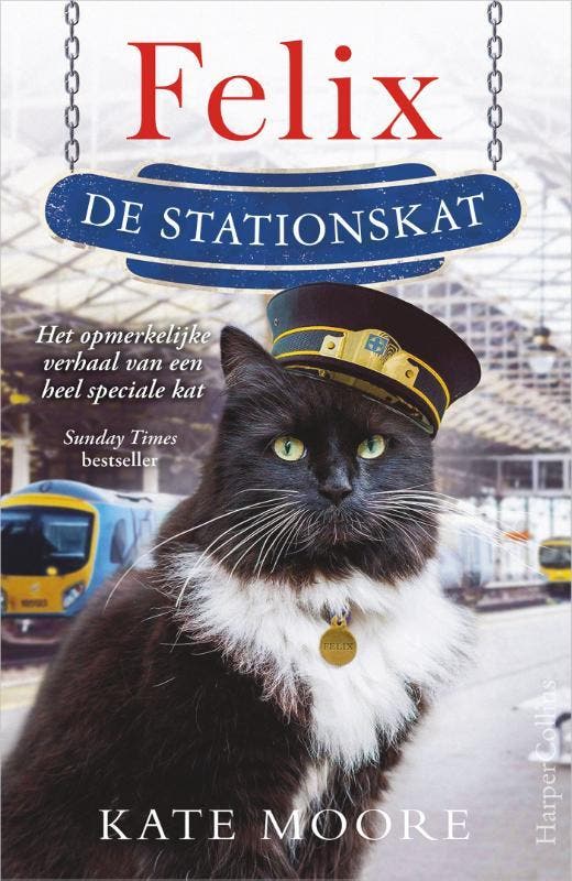 Felix de stationskat 9789402708196 Kate Moore, Boeken, Hobby en Vrije tijd, Gelezen, Verzenden