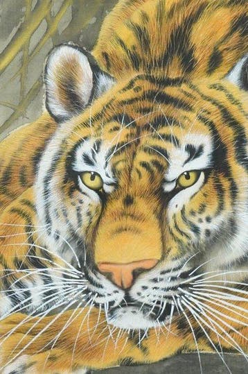 Absolute Auction – Japanese Hanging Scroll Crouching Tiger