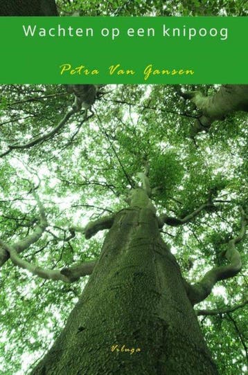 Wachten op een knipoog - Petra Van Gansen 9789402195651, Boeken, Verzenden, Gelezen, Petra Van Gansen