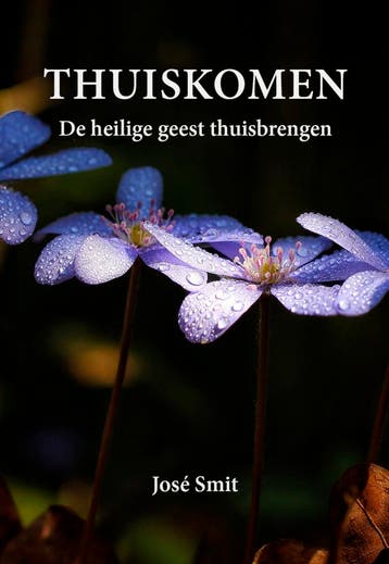 Thuiskomen - José Smit 9789463285599, Verzenden, Zo goed als nieuw, José Smit