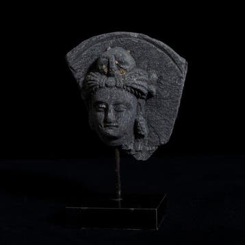 Gandhara Donkergrijze schist Hoofd van een bodhisattva,