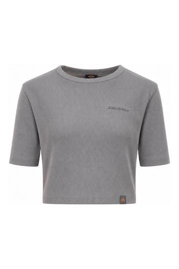 Dickies T-shirt in maat S Blauw, Kleding | Dames, T-shirts, Dickies, Verzenden, Zo goed als nieuw, Blauw